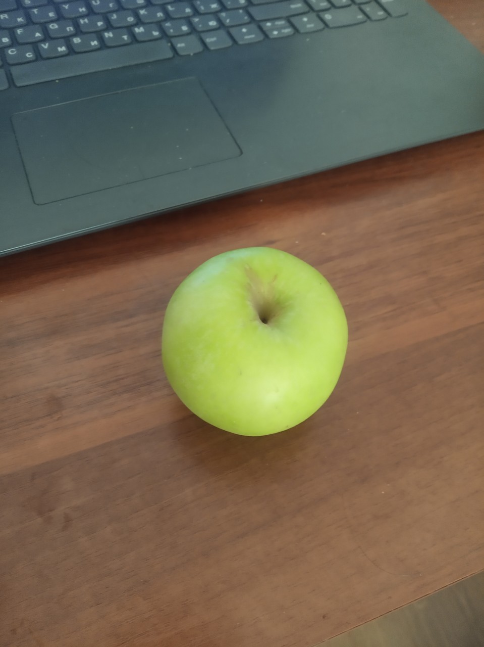 ���������� #2287626
