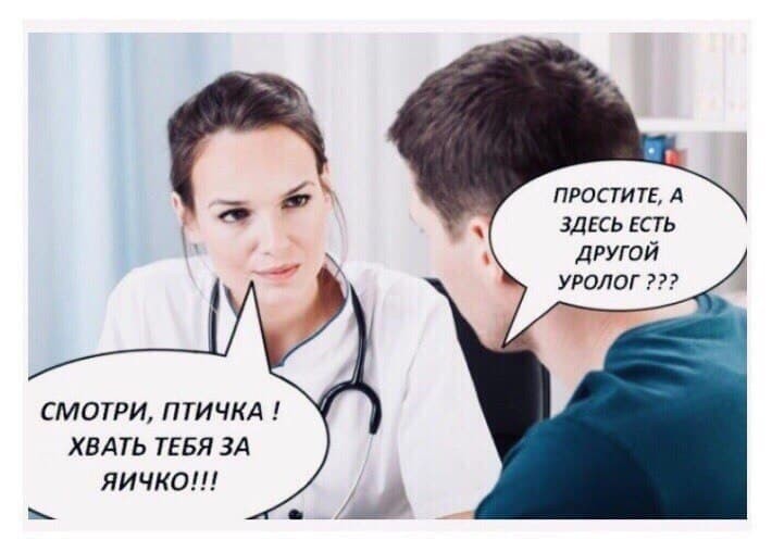 ���������� #2287687