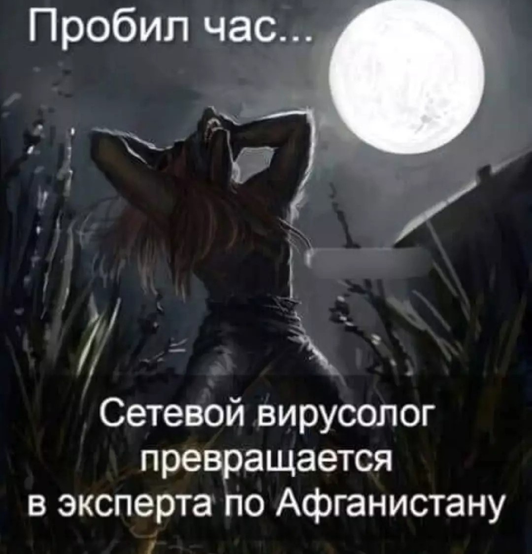 ���������� #2287975