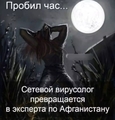 ���������� #2287975