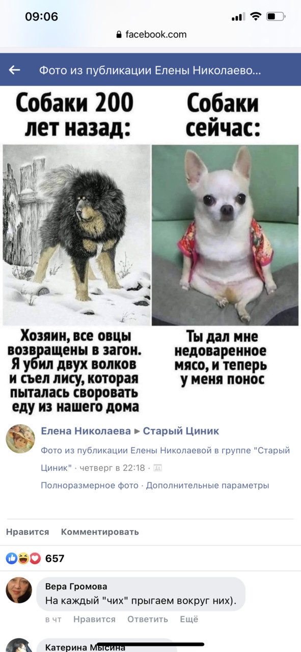 ���������� #2288095