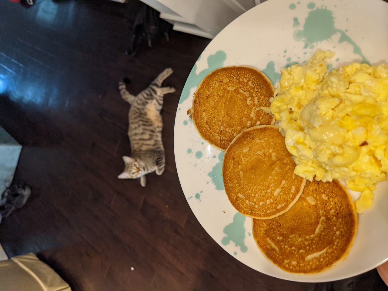 ���������� #2288163