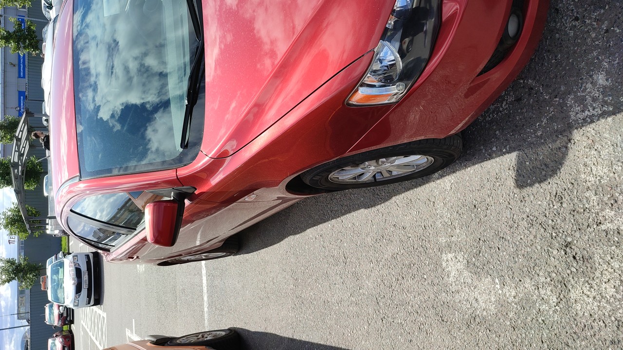 ���������� #2288284