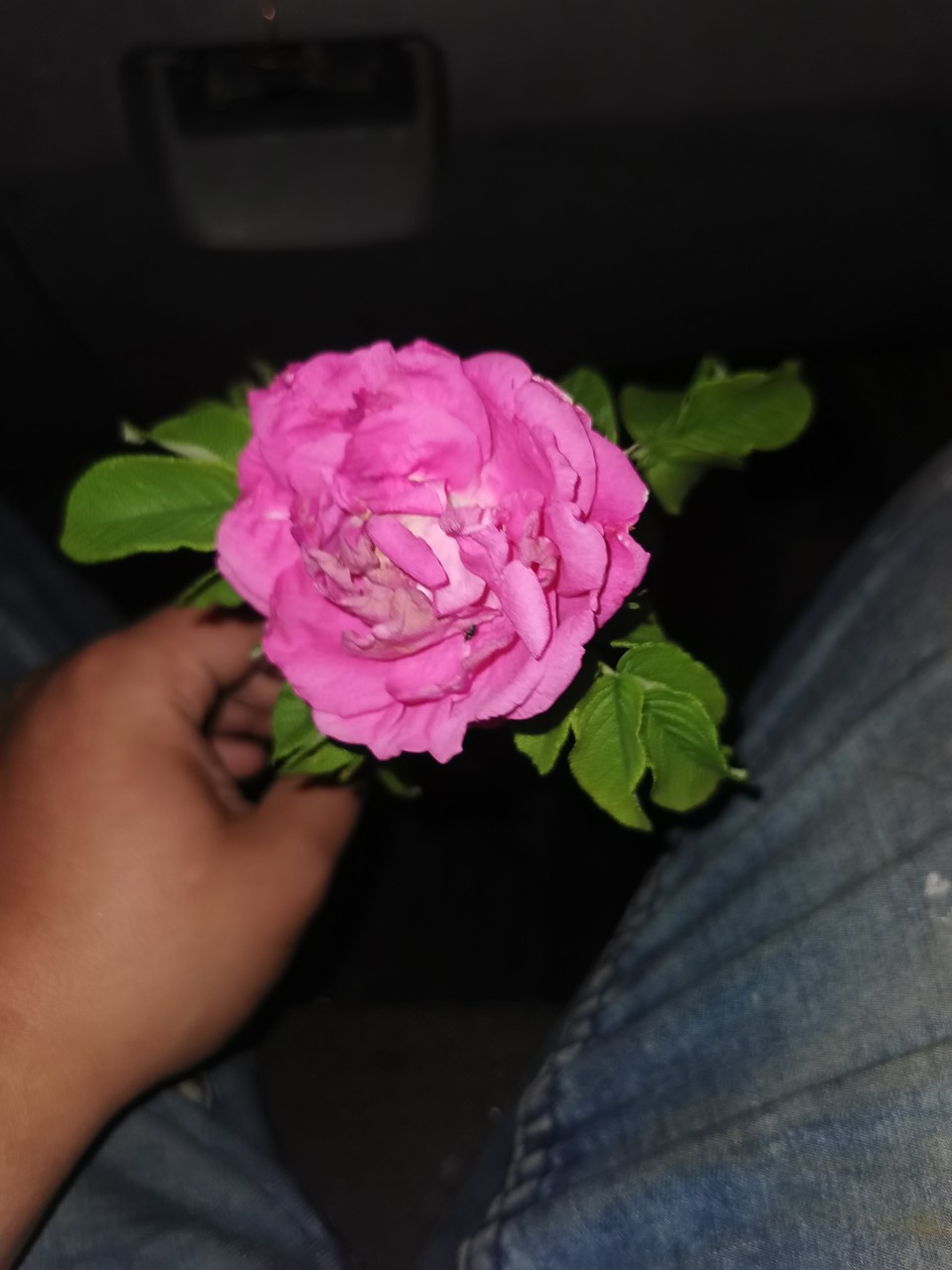 ��� ��������)