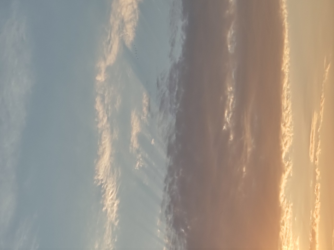 ���������� #2288973