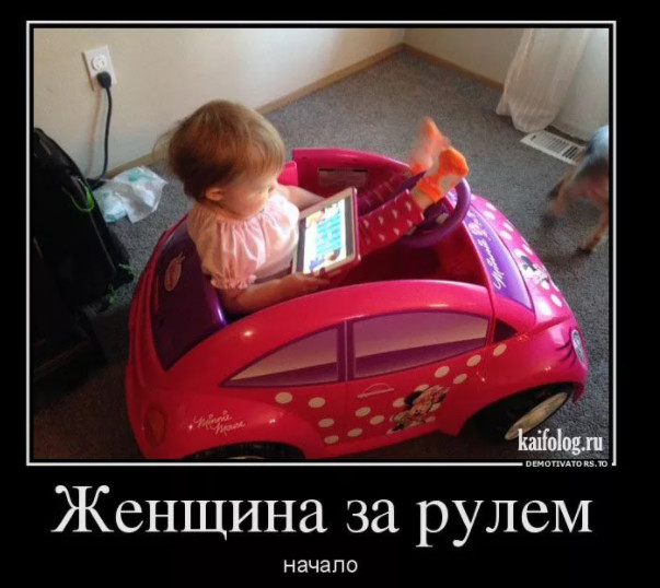 ���������� #2288979