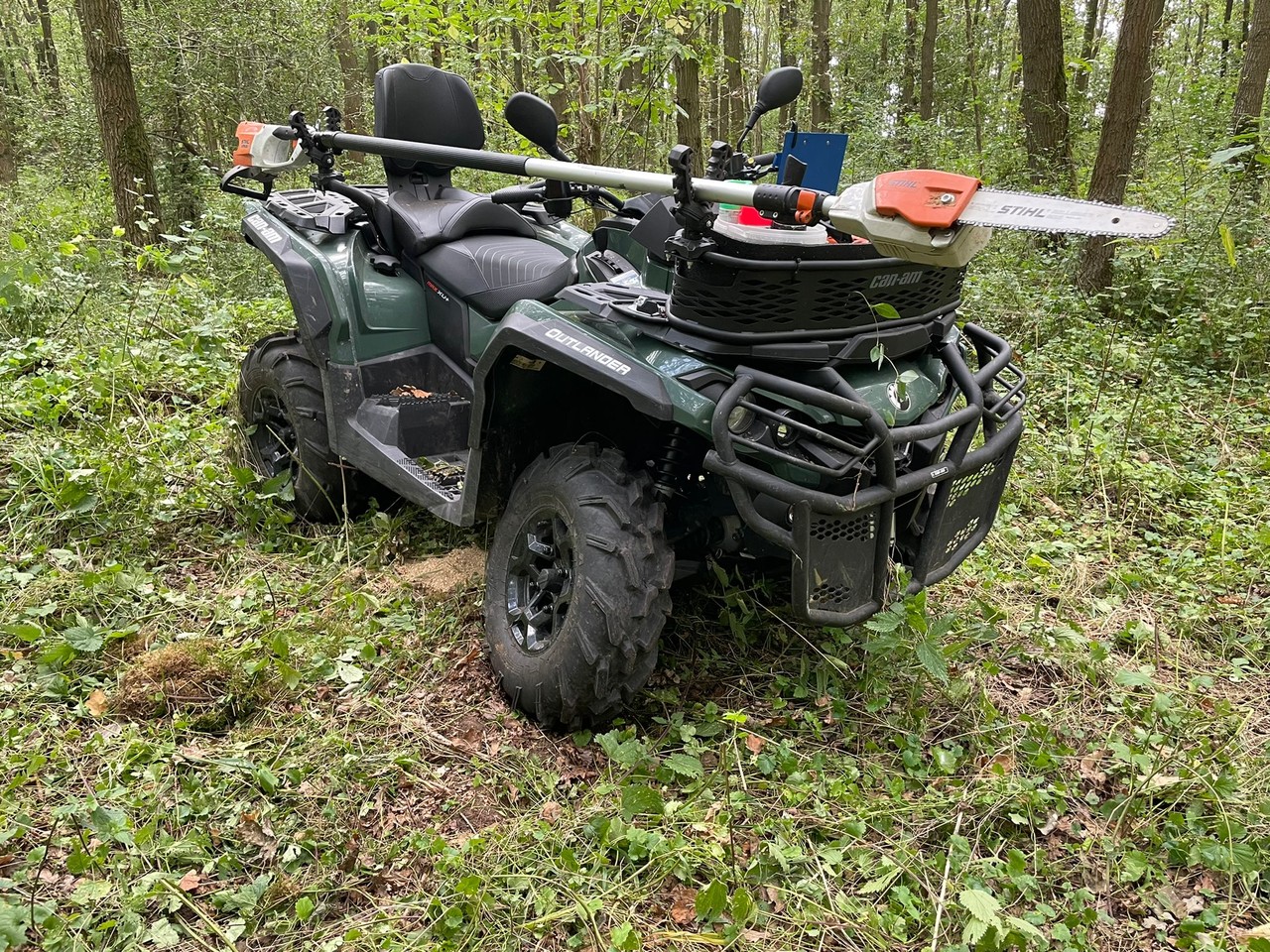���������� #2289018
