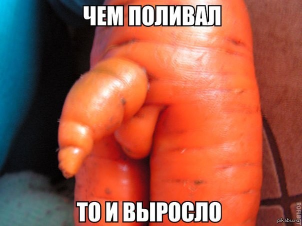���������� #2289076