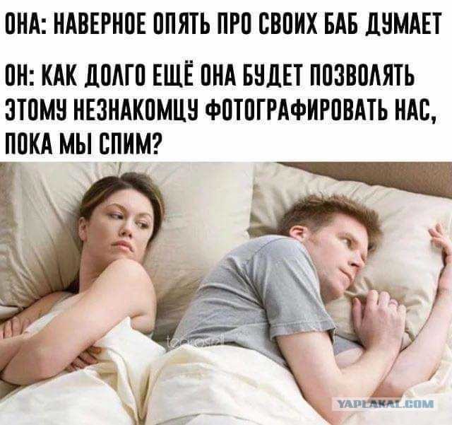 ���������� #2289247