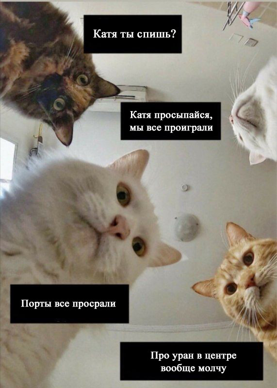 ���� �� �����?