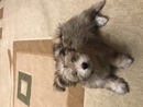 ����