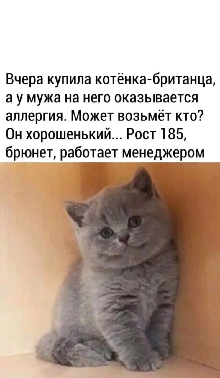 ���������� #2291003