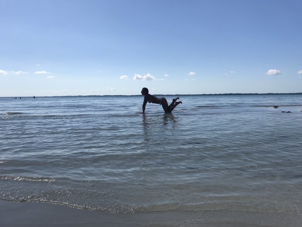 ���������� #2291278