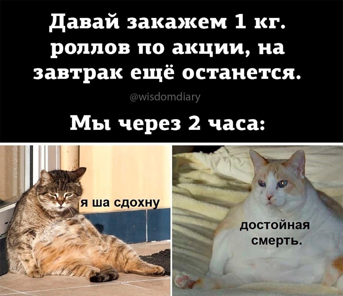 ���������� #2291607