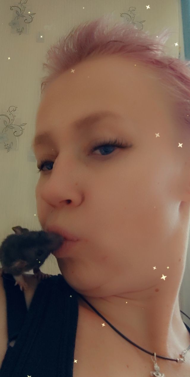 ���������� #2291676