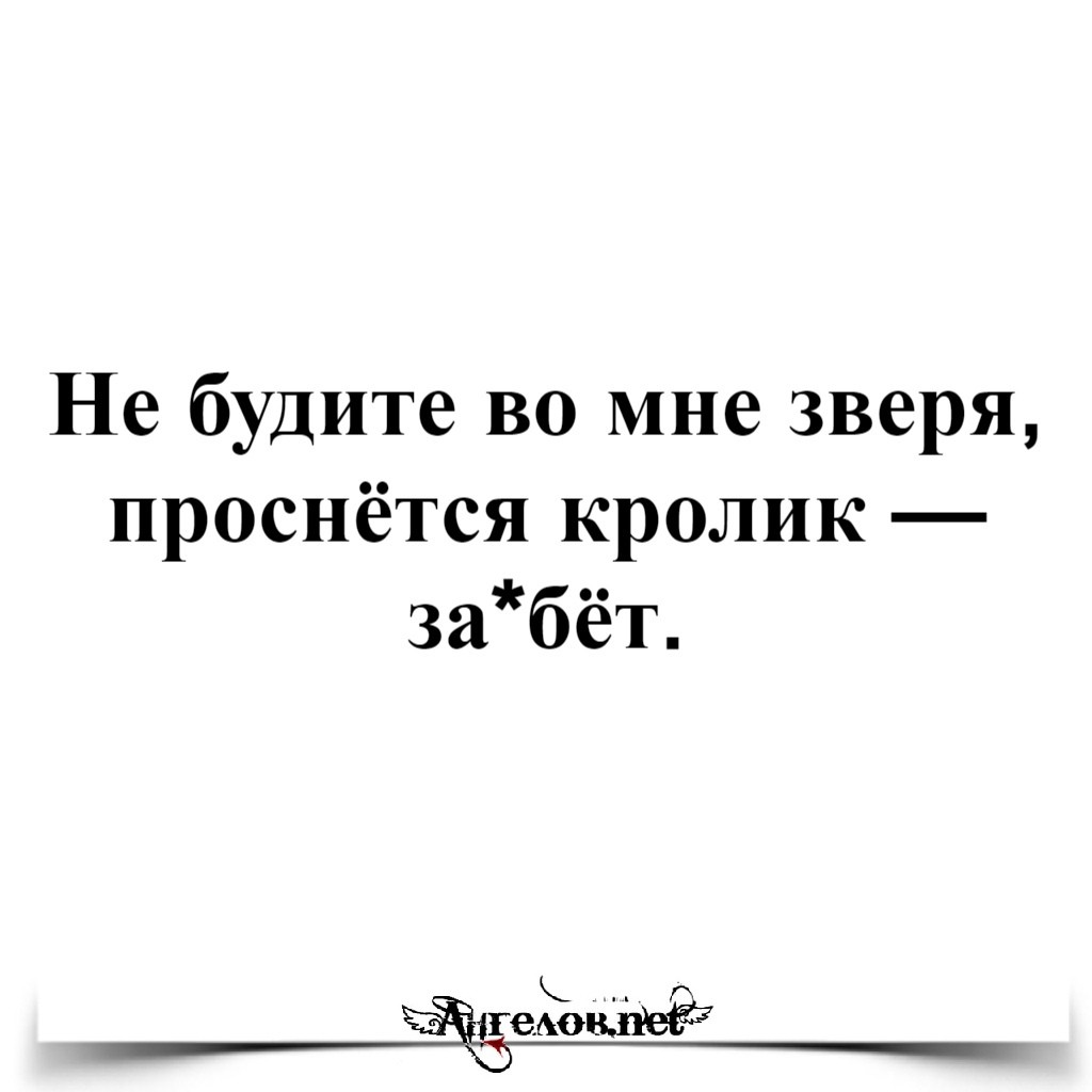 ���������� #2292179