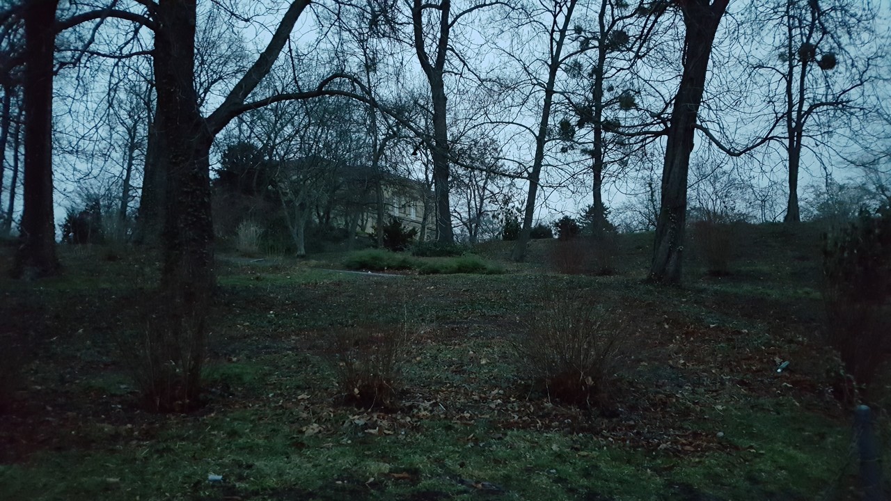 ���������� #2292744