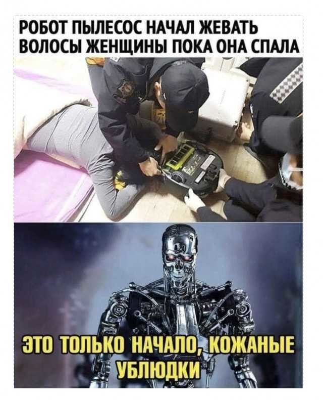���������� #2290395