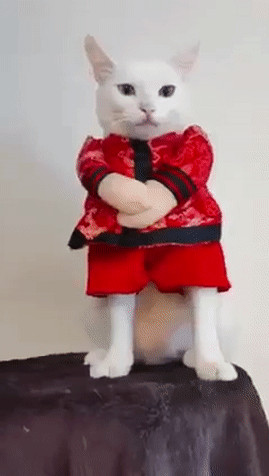 ���������� #2293026