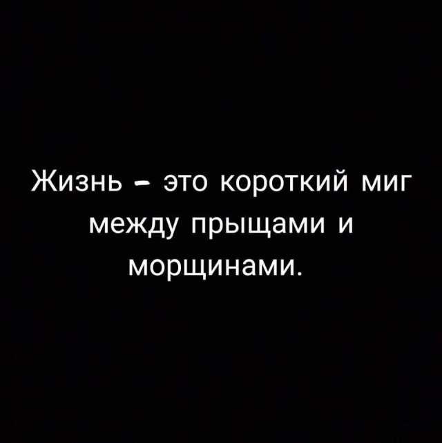 ���������� #2293422