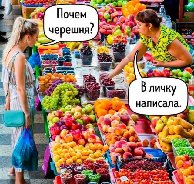 ���������� #2293424