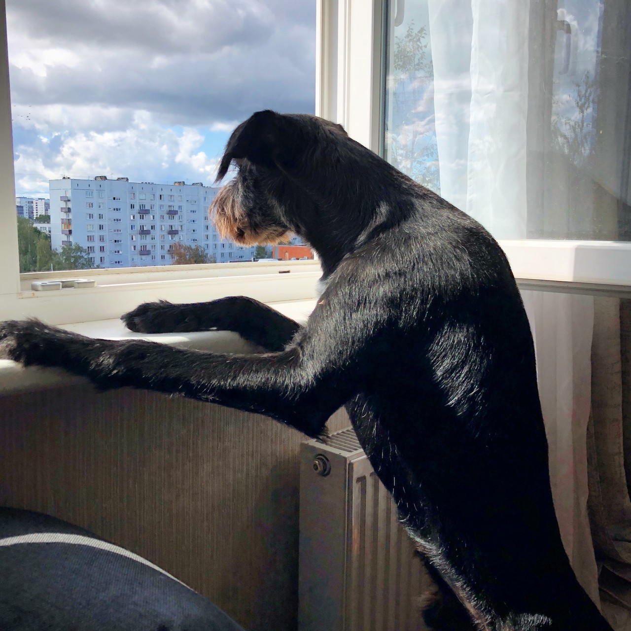 ���������� #2293822