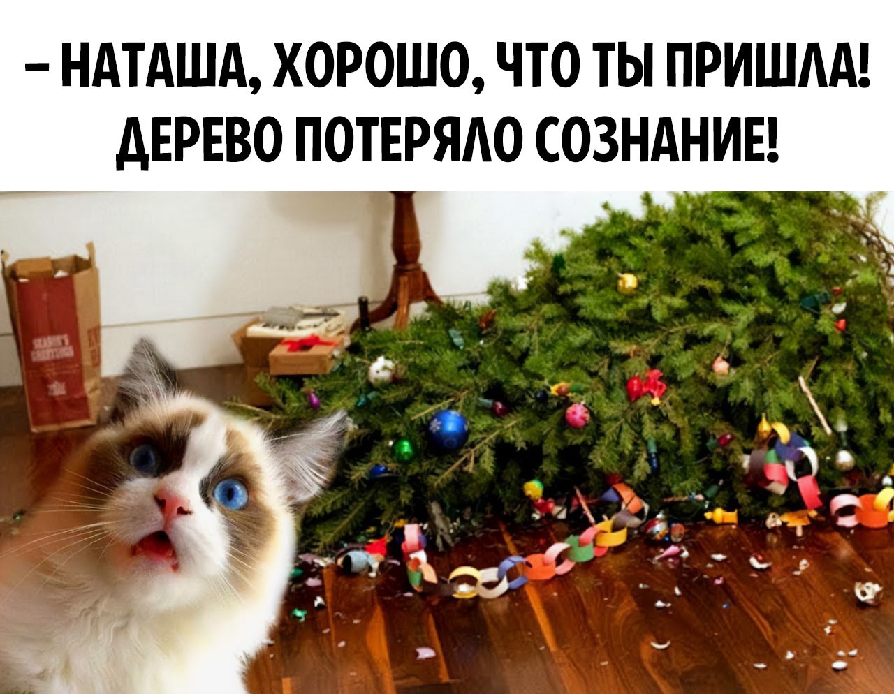 ���������� #2293846