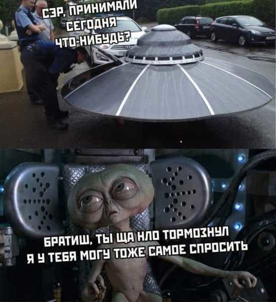 ���������� #2290405