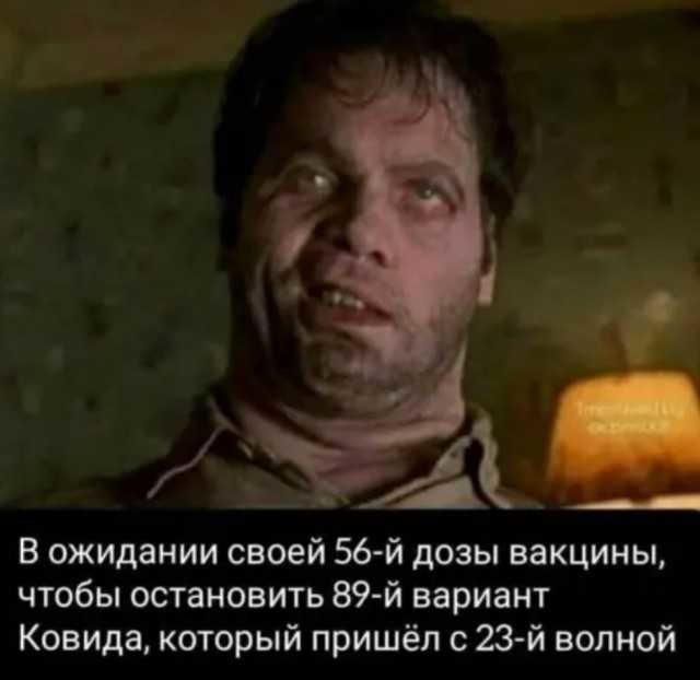 ���������� #2290412