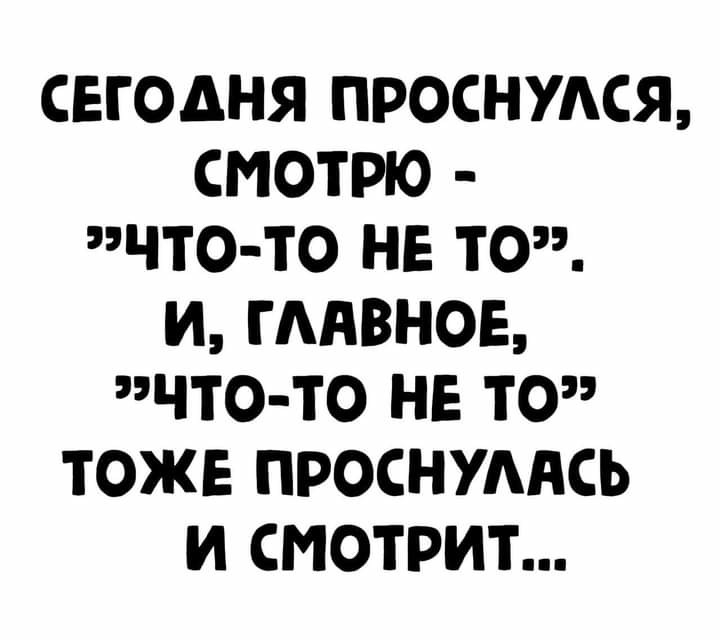 ���������� #2294623