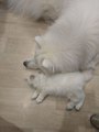 ���� � �����