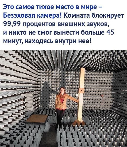 ���������� #2294881
