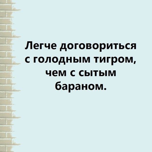 ���������� #2295042