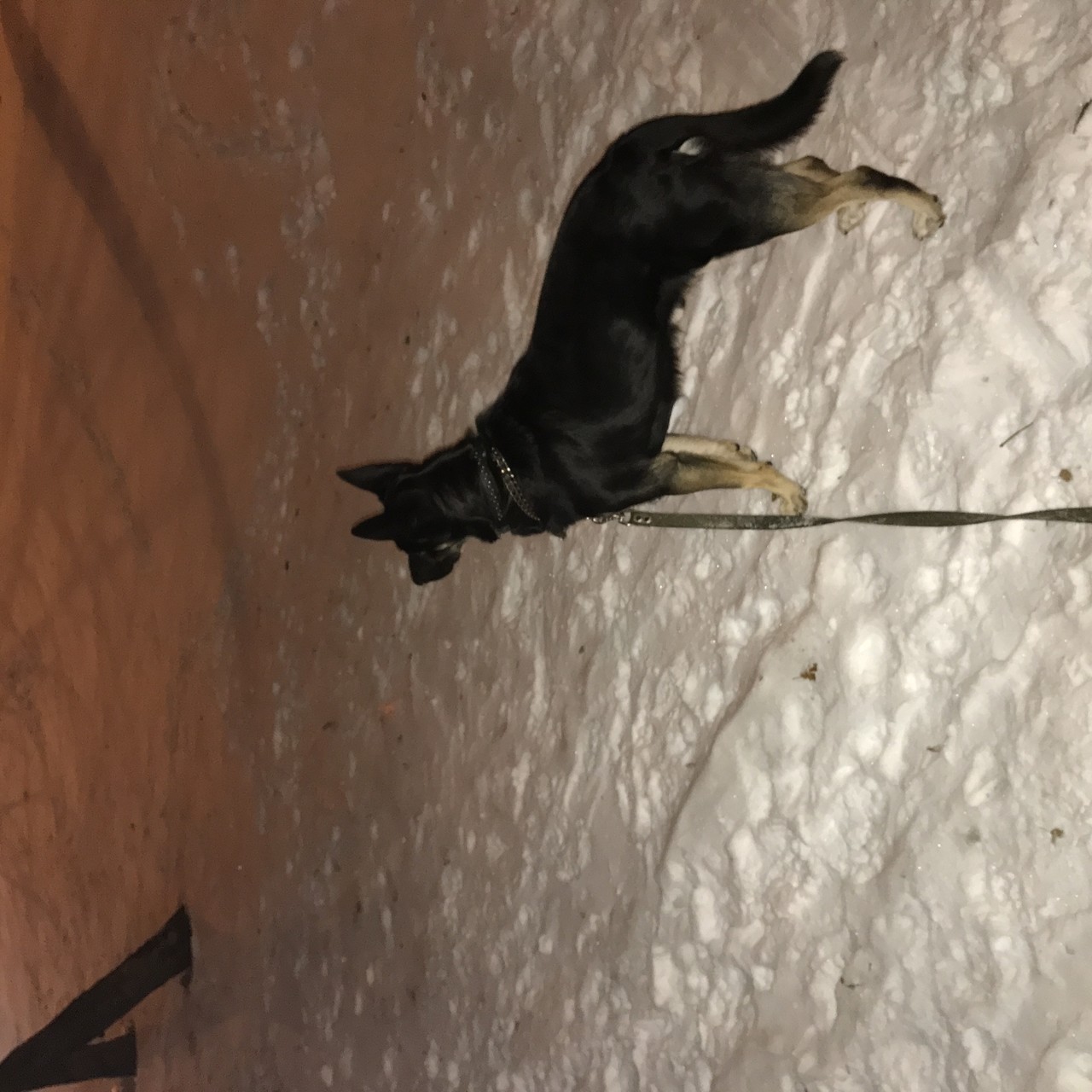 ���������� #2295231