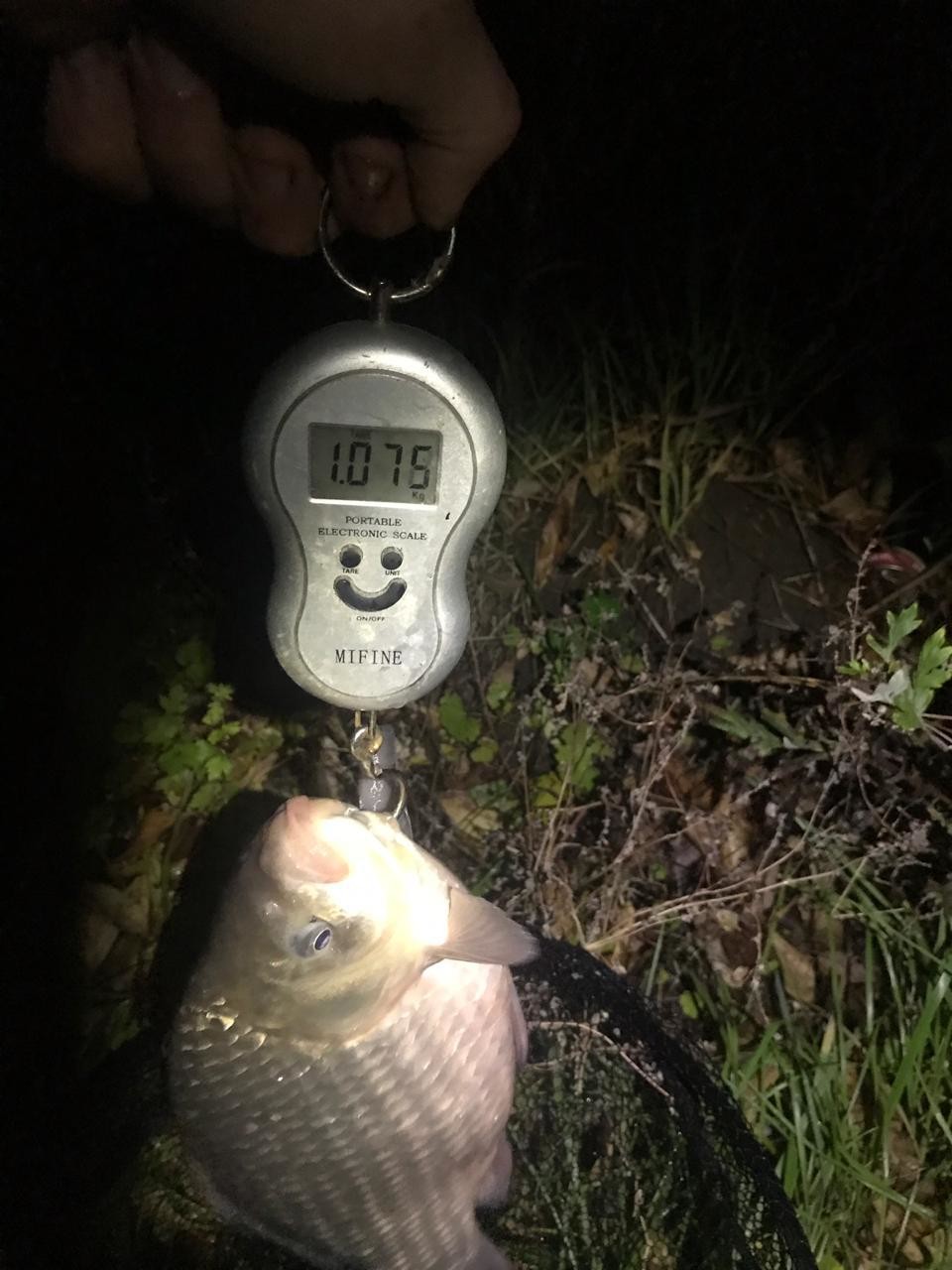 ���������� #2295250