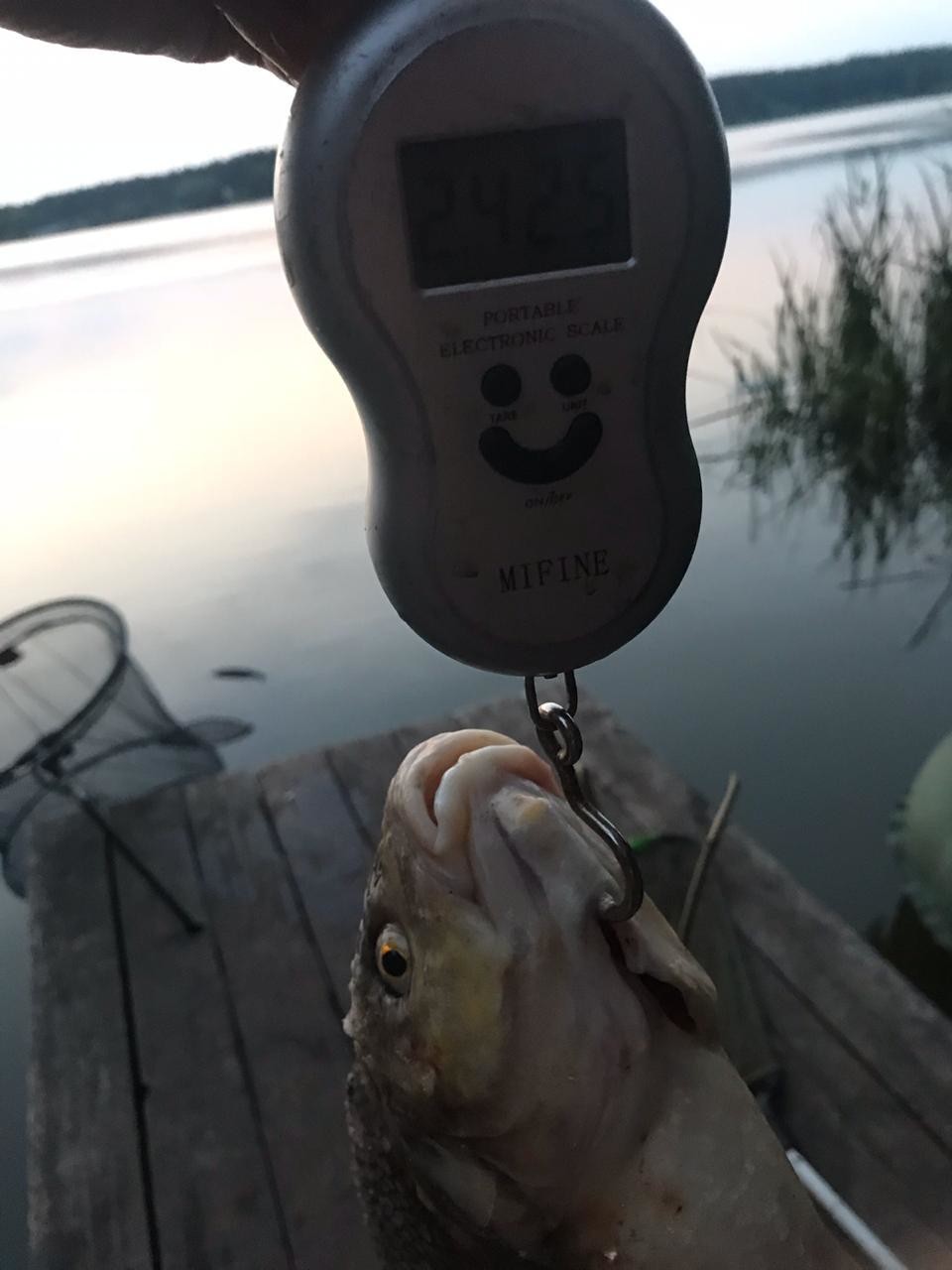 ���������� #2295251
