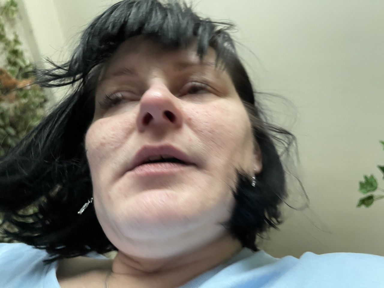 ���������� #2295401