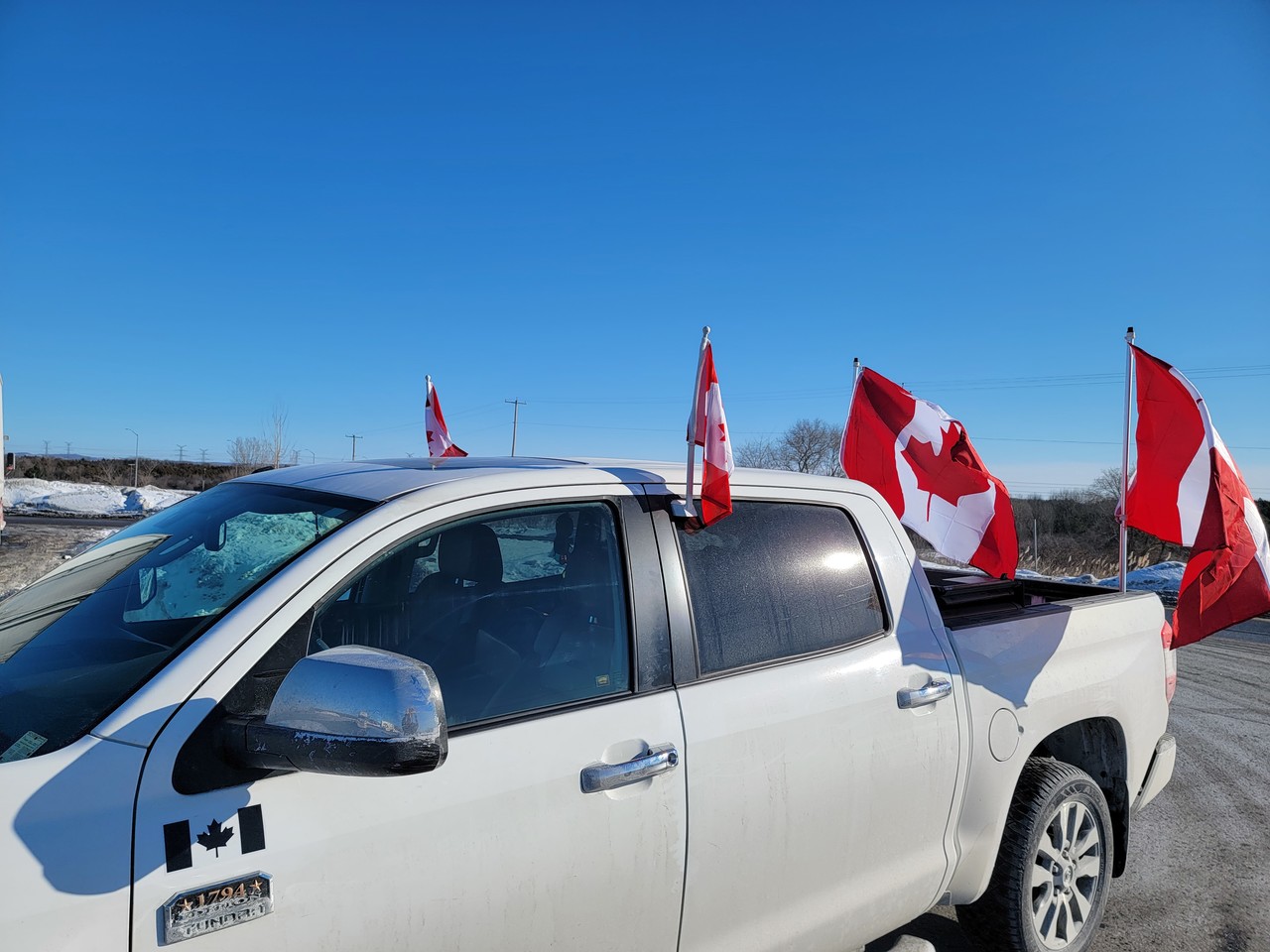 ���������� #2295575