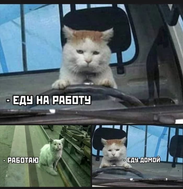 ���������� #2295605