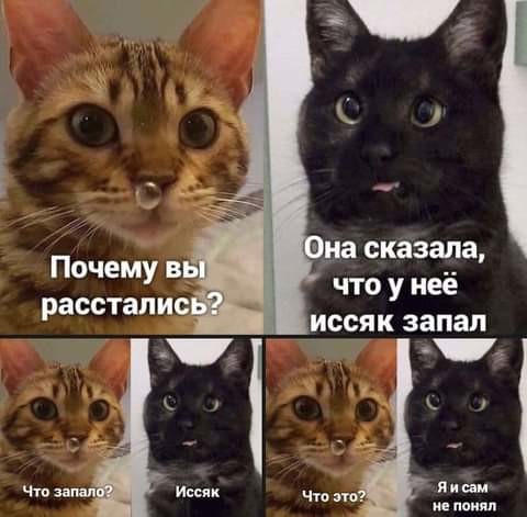 ���������� #2295699