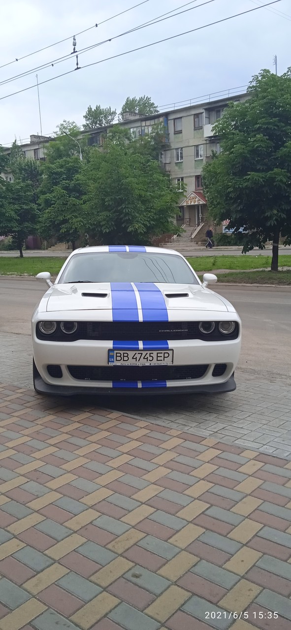 ���������� #2295829