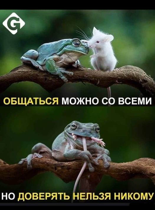���������� #2295935