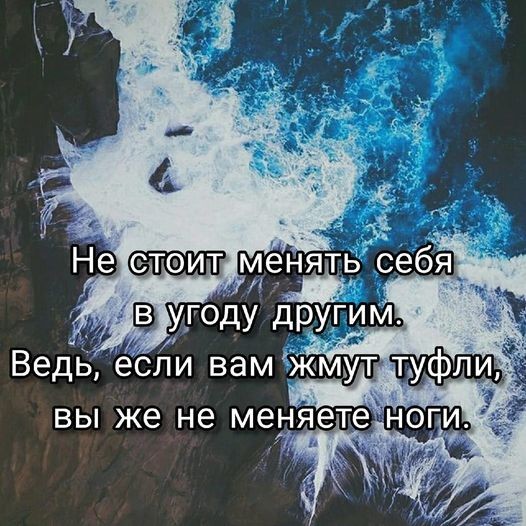 ���������� #2295941