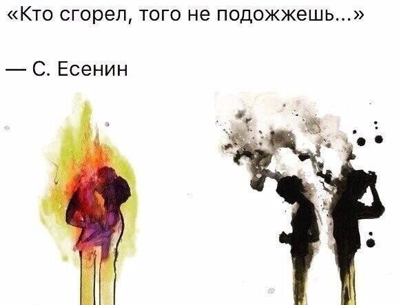 ���������� #2295971