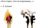 ���������� #2295971