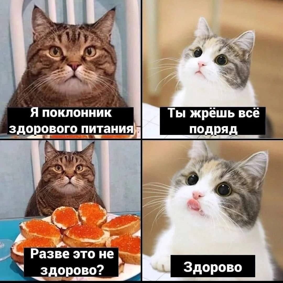 ���������� #2296005