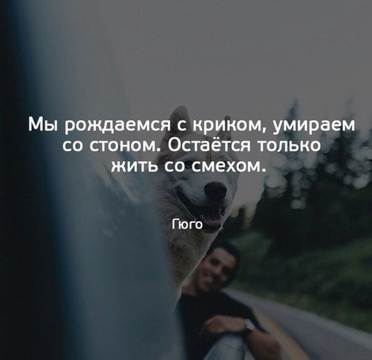 ���������� #2296232