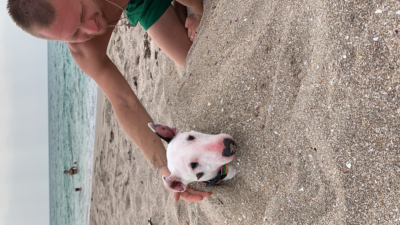 ���������� #2296253