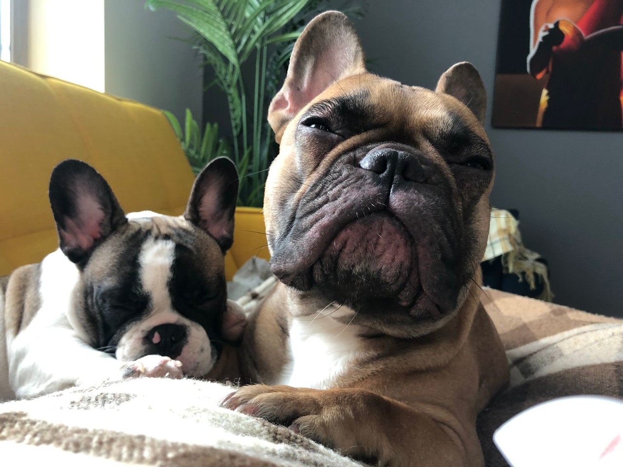 ���������� #2297132