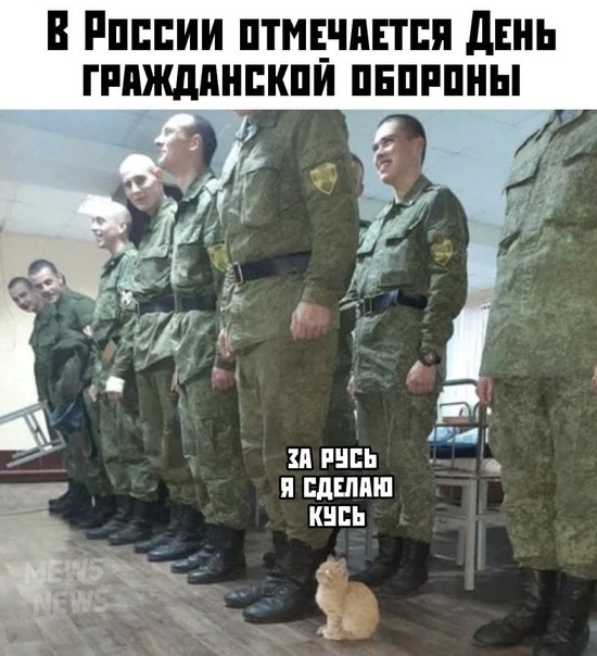 ���������� #2297269